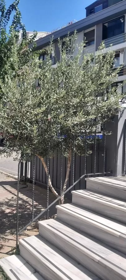 Kadıköy Belediyesi Dr. Rana Beşe Sağlık Polikinliği - Photo 6