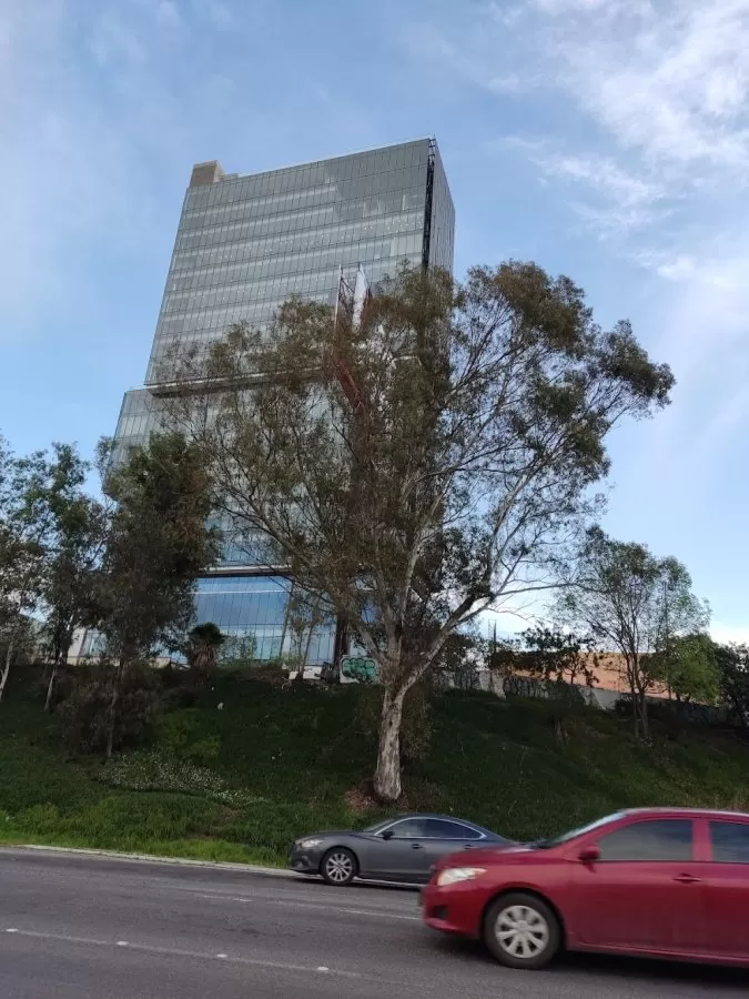 DEL PRADO MEDICAL TOWER - Photo 8