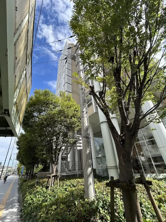 Morinomiya Clinics - Photo 5