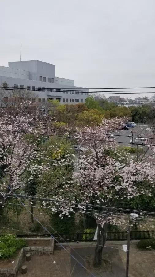 Tokyo Metropolitan Tōbu Chiiki Hospital - Photo 6