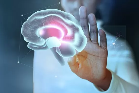 Baroda Neuro Hospital (Dr. Mohit & Dr. Ankit )-DM - neurology | Best Neurologist in Vadodara | Neurophysician In Vadodara - Photo 7