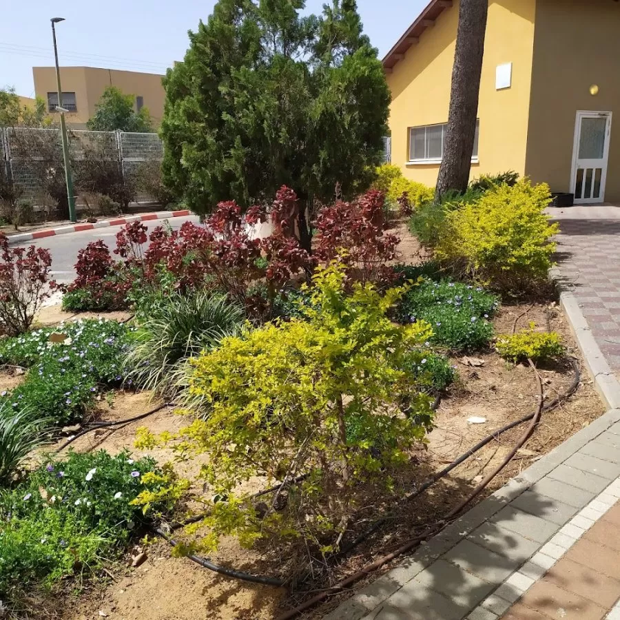 Mental Health Center Lev Hasharon - Photo 2