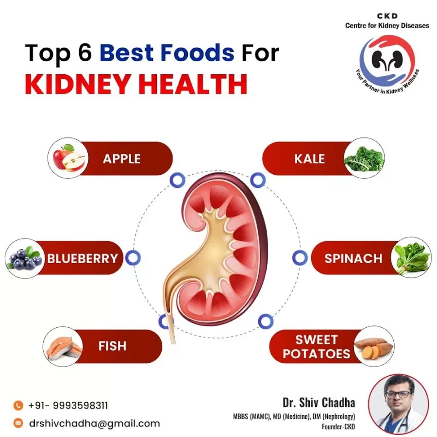 Dr. Shiv Chadha – Best Nephrologist | Kidney Transplant | Hemodialysis Centre | Chronic Kidney Disease Care in Delhi NCR - Photo 6