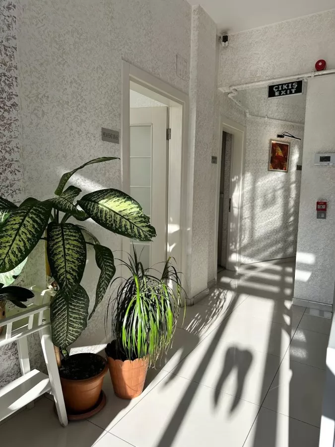 PERADENTAL - Photo 1