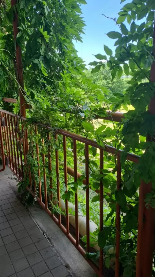 Kopfklinikum - Photo 7