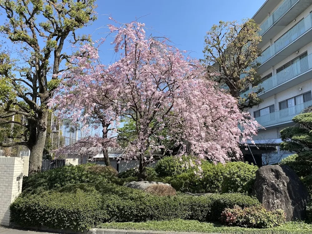 Kyorin University Hospital - Photo 3