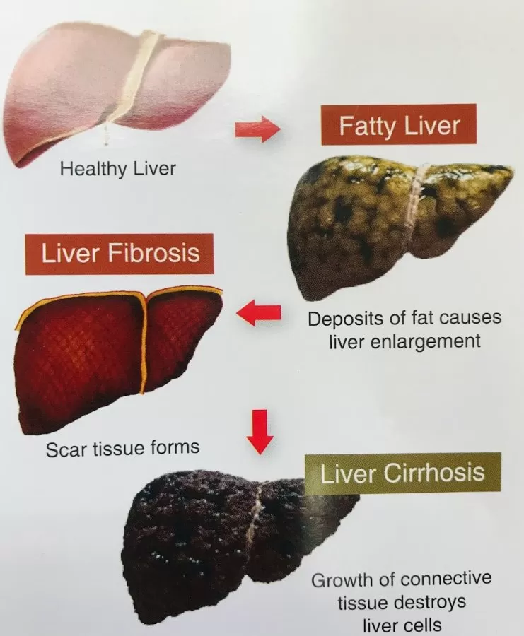 Dr Syed Redha Gastro and Liver Specialist Clinic - Photo 5