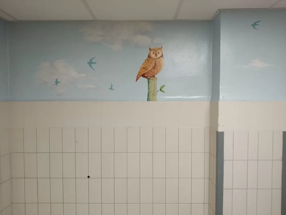 La Paz Infantil - Photo 7