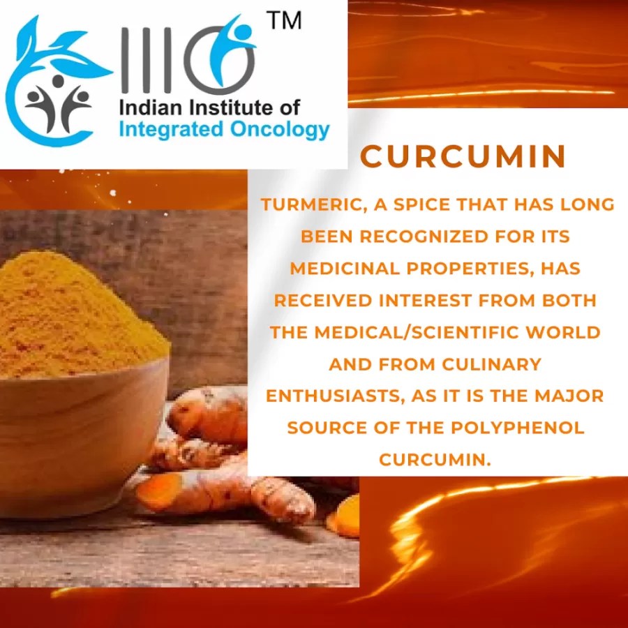 Indian Institute of Integrated Oncology (IIIO) | Palliation Center | Natural Treatment Cancer - Photo 1