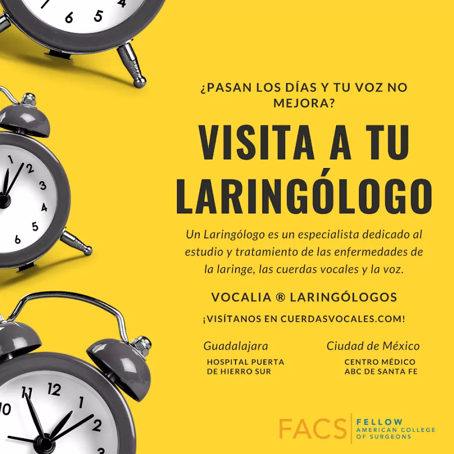 Vocalia Otorrinolaringólogos ® Oídos, Nariz y Garganta, Laringología y Trastornos de la Voz - Dr. Gerardo López Guerra - Photo 4