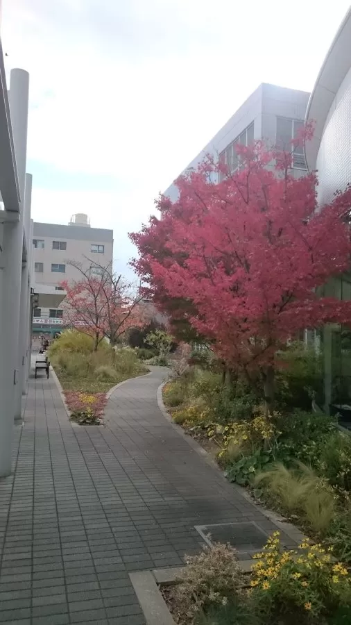 Kansai Rosai Hospital - Photo 7