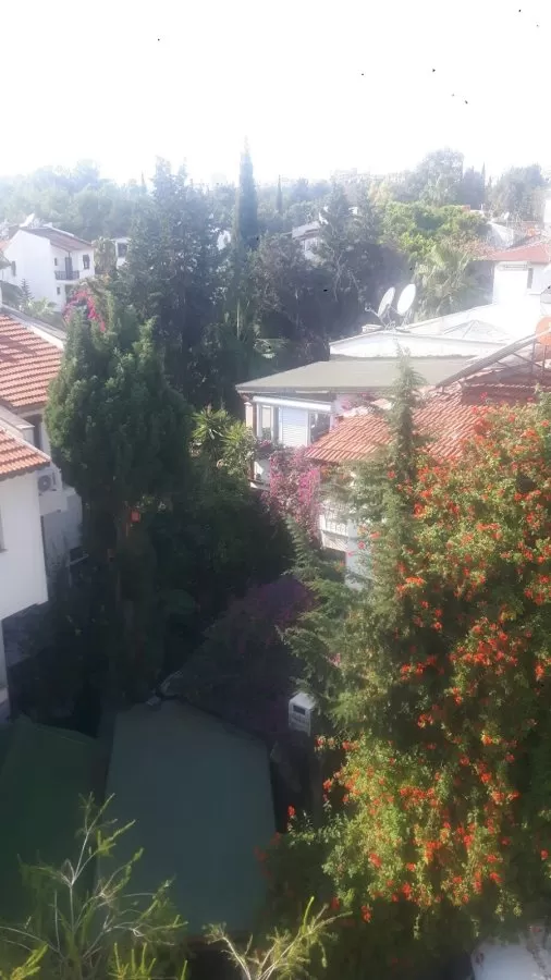 Özel Daviva Antalya Tatil Diyaliz Merkezi - Photo 2