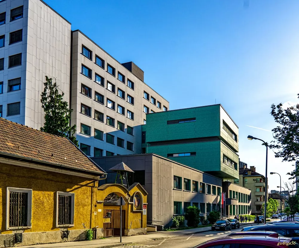 Semmelweis University Clinic of Pulmonology - Photo 5