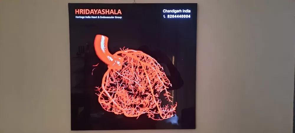 Hridayashala- Cardiac/Heart/Brain Care| Top I Best EECP treatment in India- Chandigarh - Photo 3