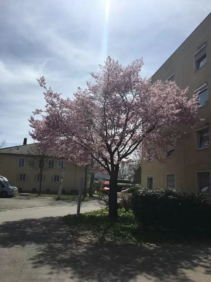 Helios Clinic Munich Perlach - Photo 2