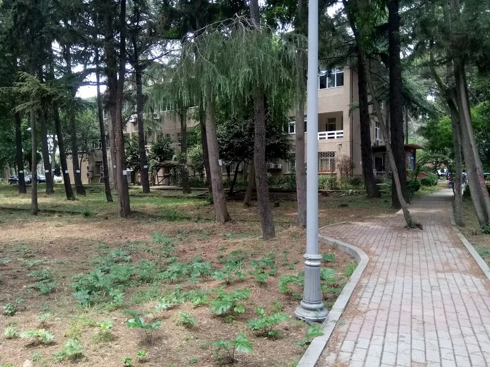 Erenköy Mental and Nervous Diseases Hospital - Photo 8