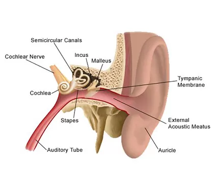 Dr. Parth Amin ENT Surgeon - Mediheal Hospital - Photo 6