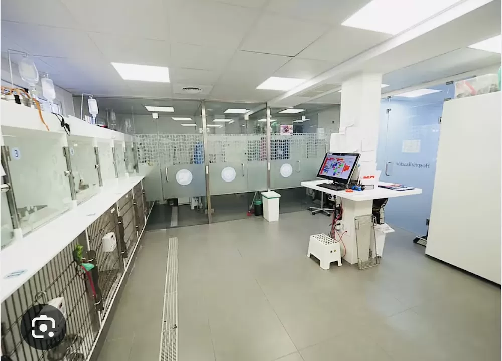 Estoril Veterinary Hospital - Photo 2
