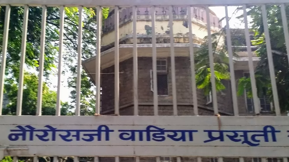 Nowrosjee Wadia Maternity Hospital - Photo 2
