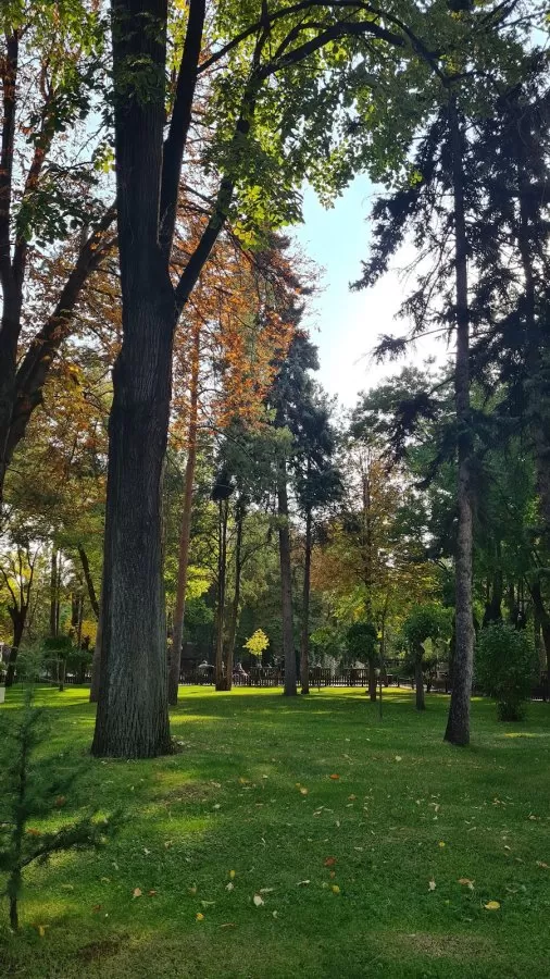 Ankara Universitesi Tıp Fakültesi Cebeci Çocuk Hastanesi - Photo 3