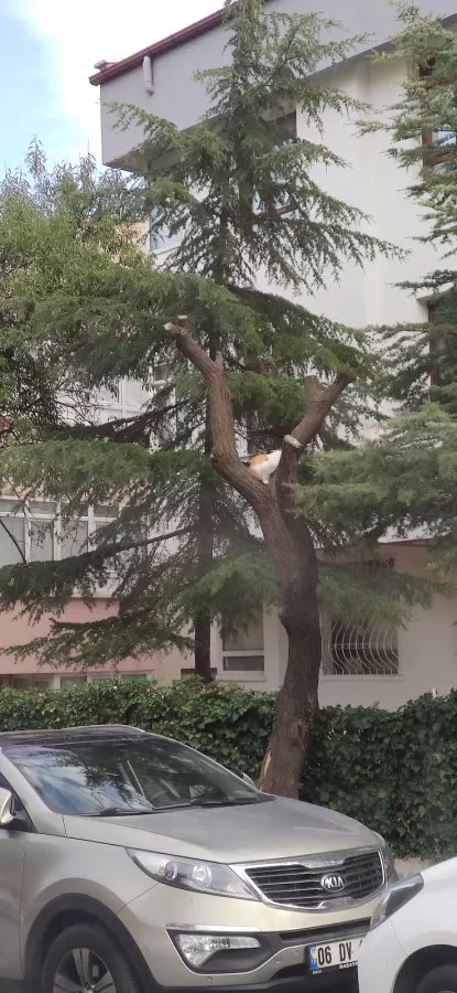 Özel Ondokuz Mayıs Hastanesi - Photo 1