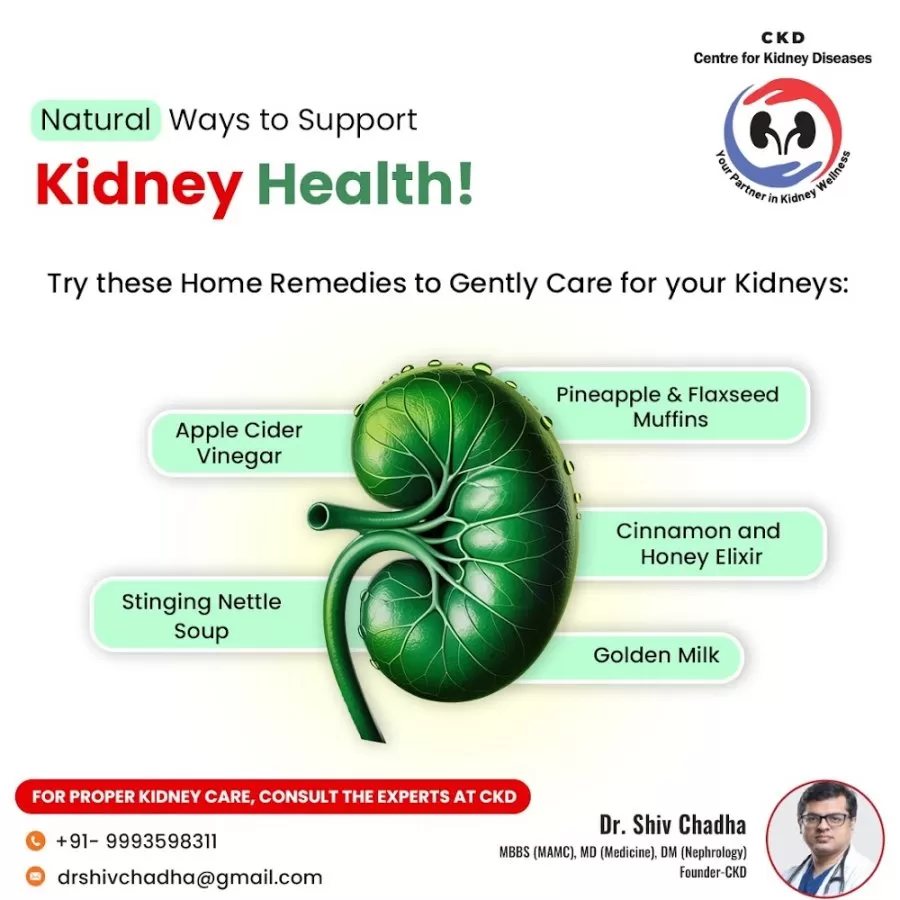 Dr. Shiv Chadha – Best Nephrologist | Kidney Transplant | Hemodialysis Centre | Chronic Kidney Disease Care in Delhi NCR - Photo 2