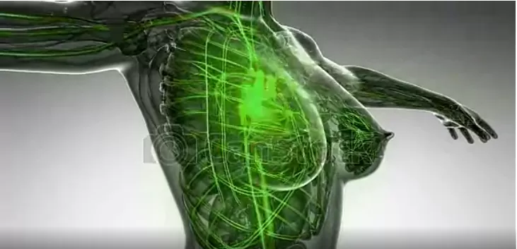 Hridayashala- Cardiac/Heart/Brain Care| Top I Best EECP treatment in India- Chandigarh - Photo 6