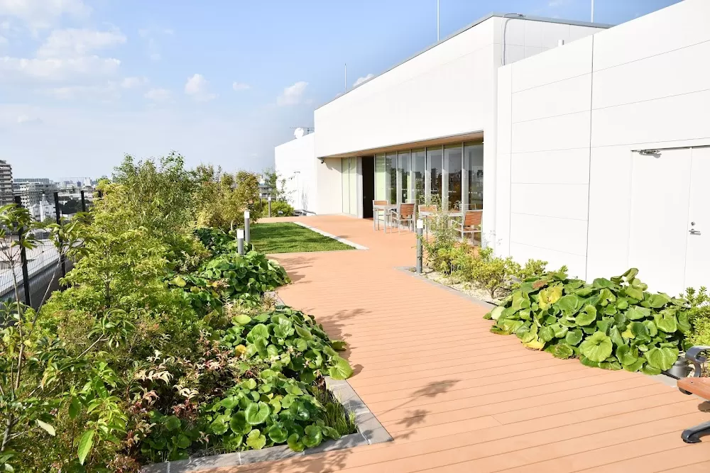 Douaikai Hospital - Photo 8