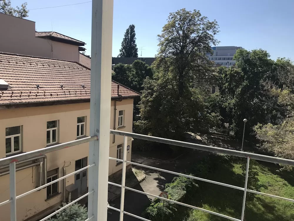 Nyírő Gyula Országos Pszichiátriai és Addiktológiai Intézet - Photo 3