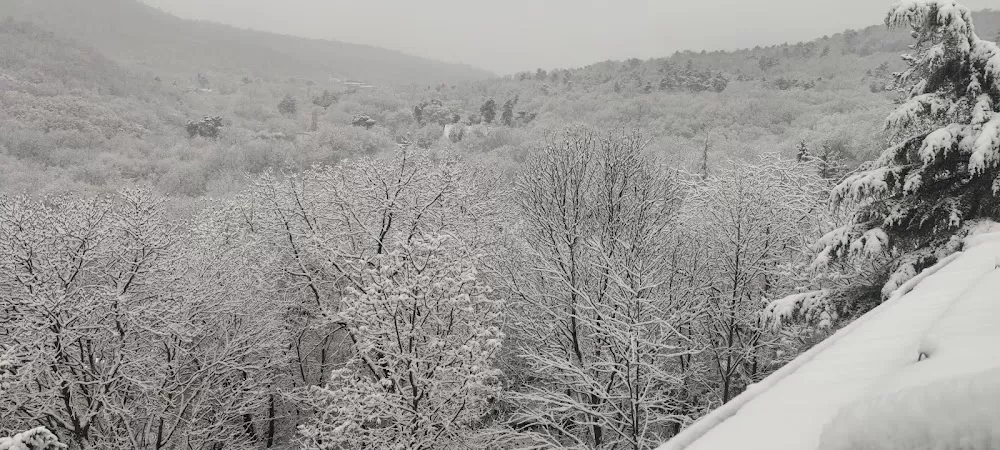 Út az egészségért Hárshegyi tanösvény - Photo 3
