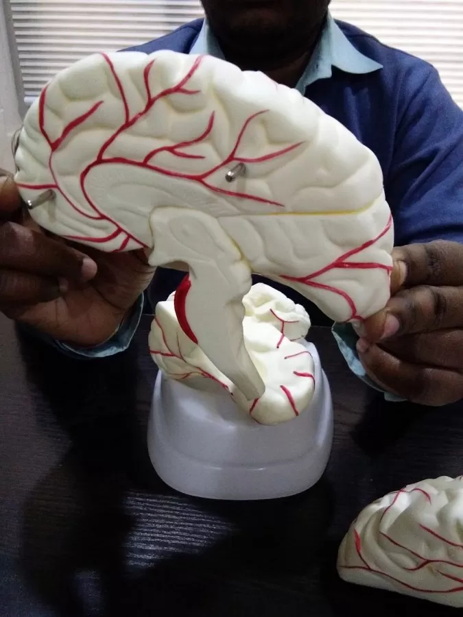 𝗗𝗿 𝗩𝘆𝗼𝗺 𝗕𝗵𝗮𝗿𝗴𝗮𝘃𝗮 (𝗛𝗠𝗖 𝗛𝗼𝘀𝗽𝗶𝘁𝗮𝗹) - Best Neurosurgeon in Ludhiana | Spine Surgeon | Brain Hospital in Ludhiana - Photo 8