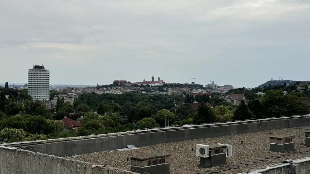 Kútvölgyi Hospital - Photo 8