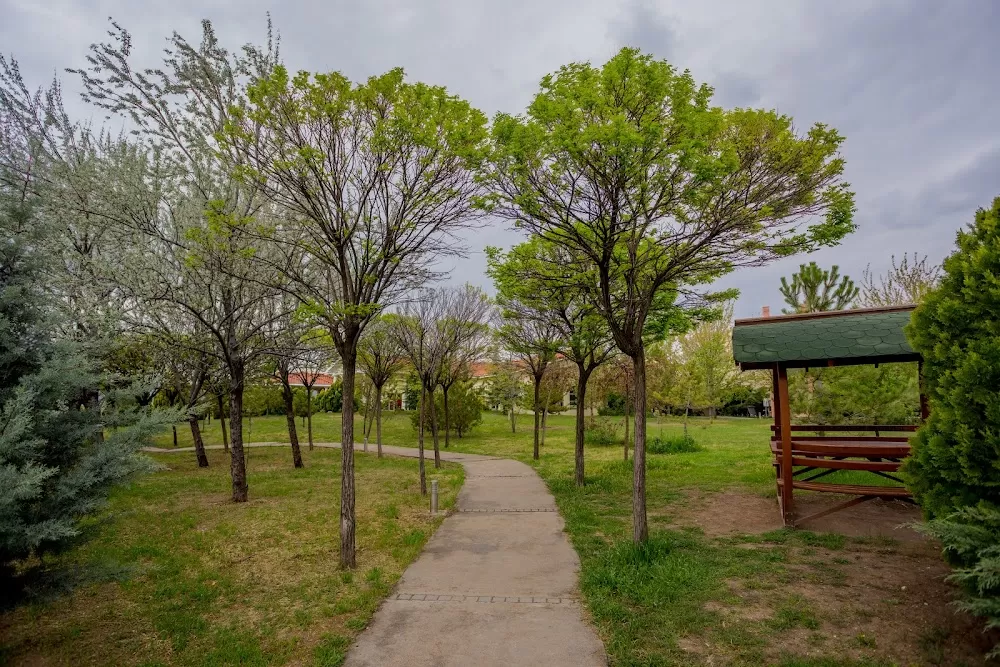 Boylam Psikiyatri Hastanesi - Photo 6