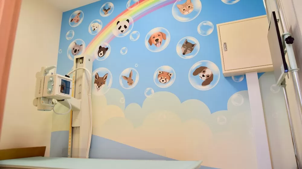 Harada Child Clinic - Photo 3