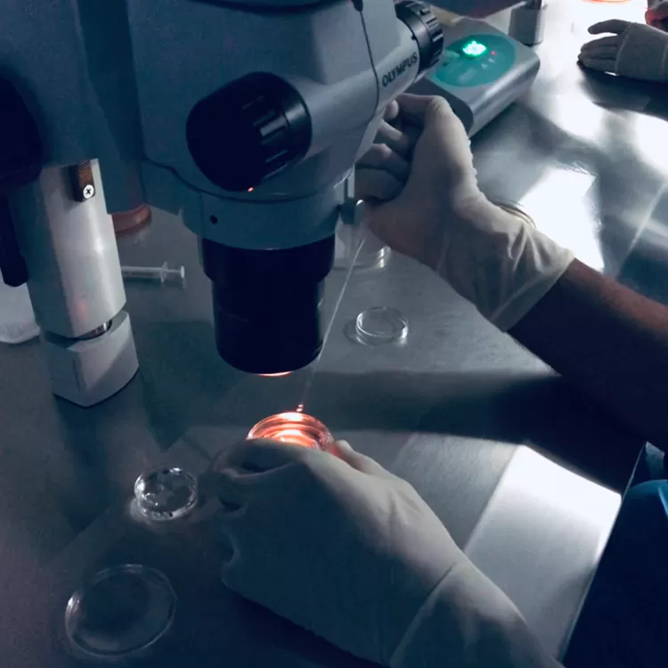 Irega IVF Clinic Cancun - Photo 7