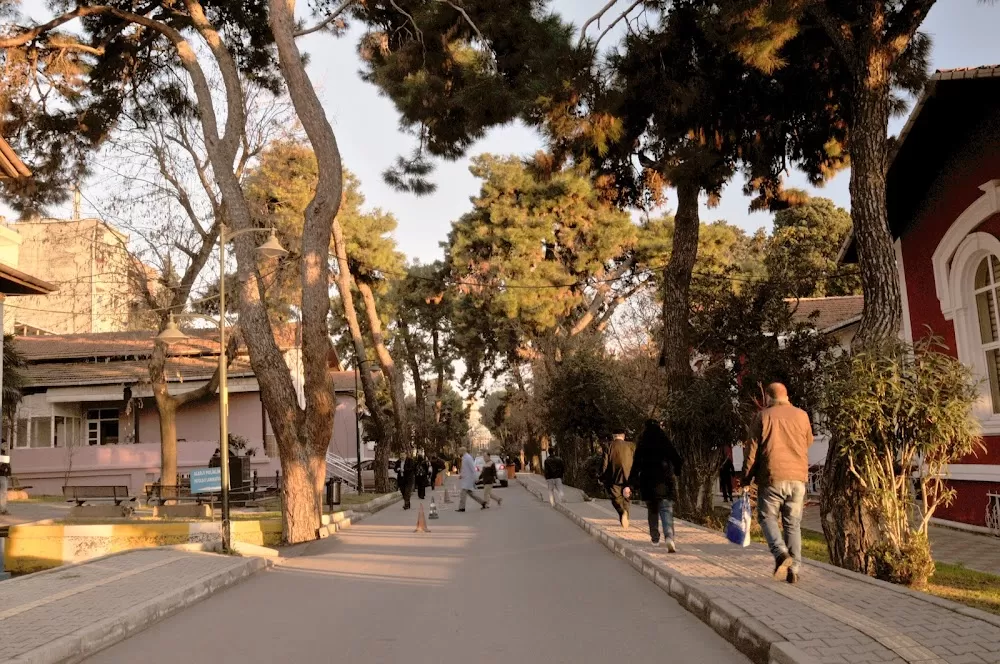 Yedikule Göğüs Hastalıkları ve Göğüs Cerrahisi Eğitim ve Araştırma Hastanesi - Photo 3