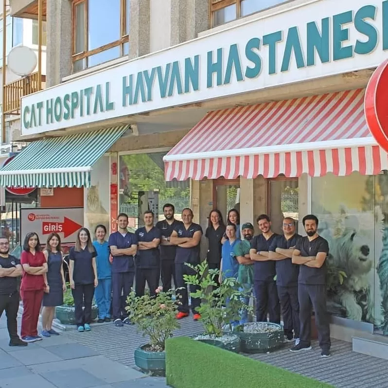 Cat Hospital Kedi Hastanesi - Photo 1