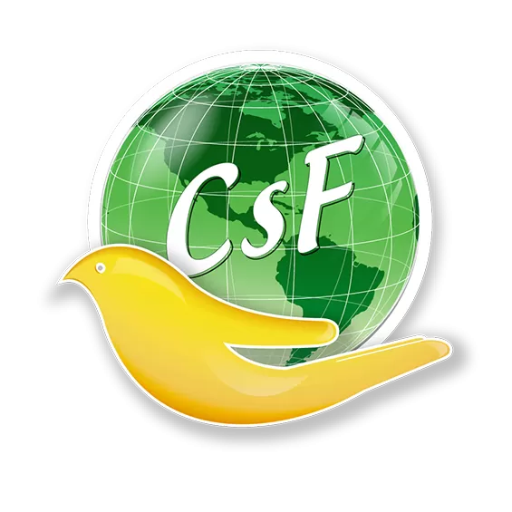 Fundación Clínicas Sin Fronteras - Photo 7