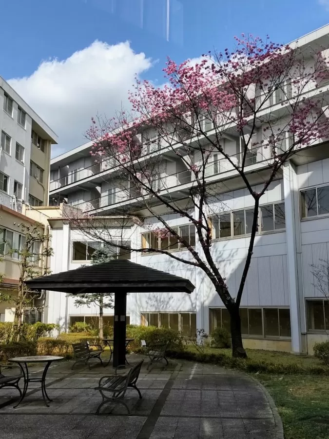 Toranomon Hospital Kajigaya - Photo 5