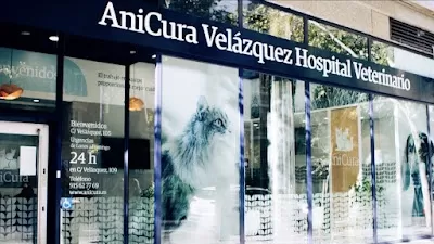 AniCura Velázquez Hospital Veterinario