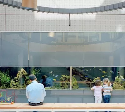 kbo-Heckscher-Klinikum - Kinder- und Jugendpsychiatrie, Psychosomatik, Psychotherapie