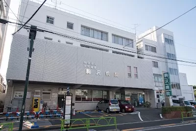 Komazawa Hospital
