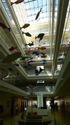Poliklinika II Samodzielnego Publicznego Dziecięcego Szpitala Klinicznego w Warszawie