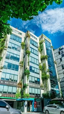참포도나무병원 Champodonamu Hospital