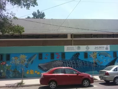 Centro De Atención Primaria En Adicciones Guadalajara