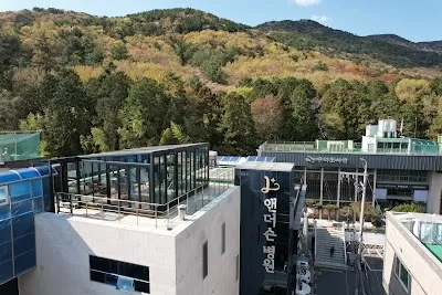 엘앤더슨병원