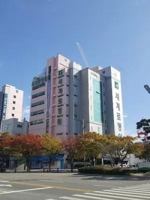 세계로병원