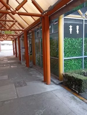 Pediatria del Desarrollo Hospital infantil de México Federico Gómez