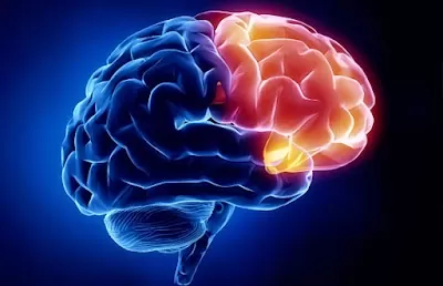 VINS Manjalpur Clinic-Dr Maulik Panchal | Neurologist | Neurophysician | Brain and spine | Migraine | Vertigo doctor |