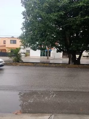 Clinica Ginecun